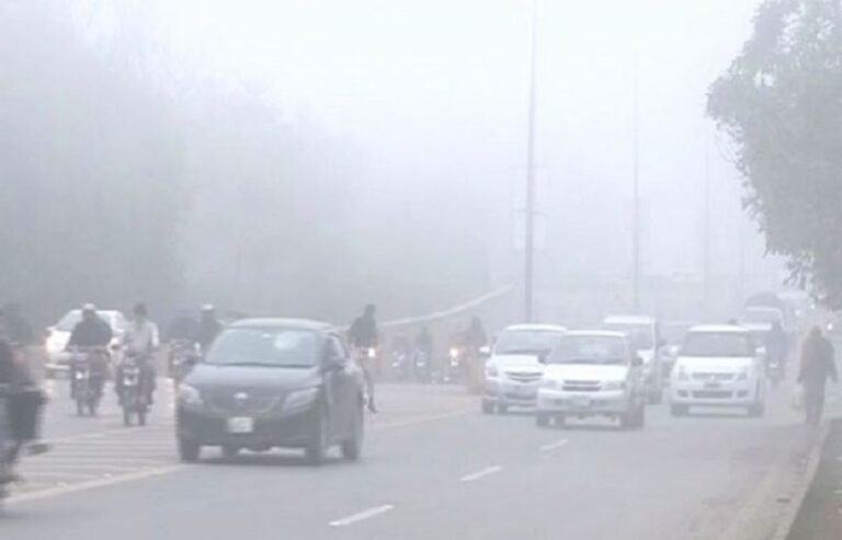 Srinagar Grinds to a Halt as Thick Fog Disrupts Traffic Movement