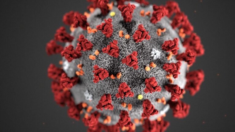 India Reports 774 New COVID-19 Cases