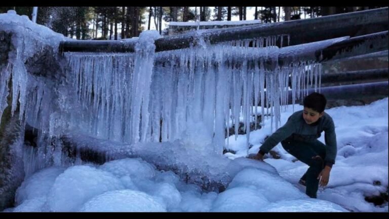 Jammu Witnesses Rise in Night Temperatures, While Kashmir Continues to Experience Bone-Chilling Cold
