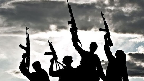 Jammu and Kashmir Court Declares 23 Pakistan-Based Terrorists, PoJK Declared Offenders