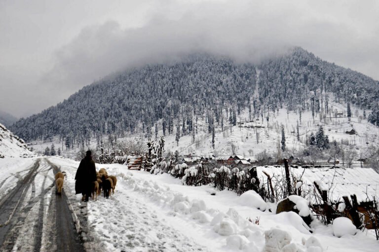 Meteorological Forecast Predicts Rain and Snowfall in Kashmir