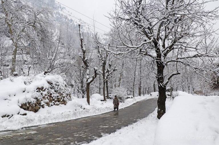 Cold Dry Spell Persists: Srinagar Records Minus 4 Degrees Celsius in Jammu and Kashmir