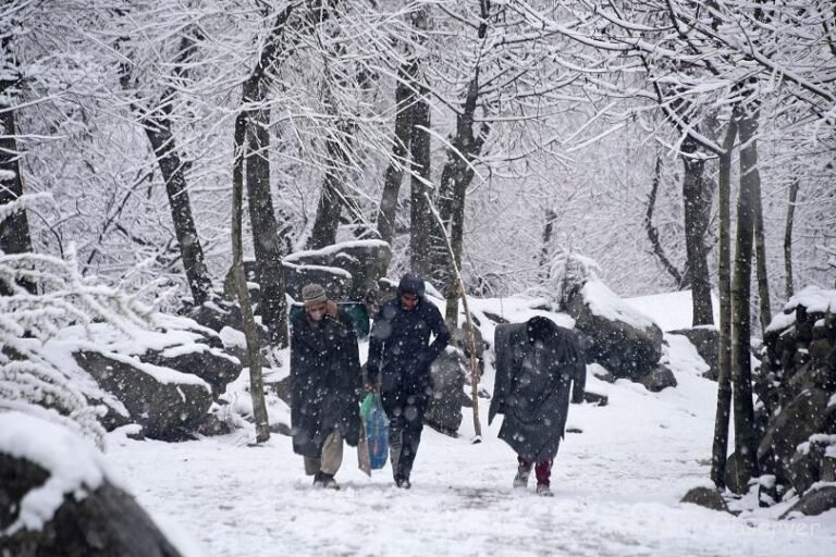 Chilly Conditions Grip Kashmir Again: Freeze and Frost Make a Comeback