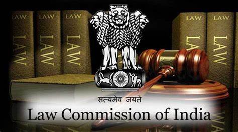 Law Panel Considers Recommending Concurrent Elections in 2029, Potential Constitutional Amendment