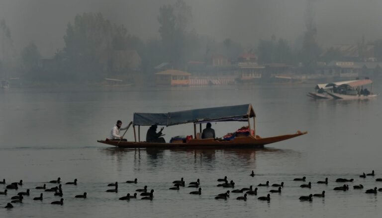 Jammu and Kashmir Experience Driest, Warmest January in 43 Years