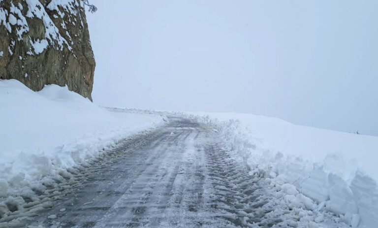 Ladakh Metrological Department forecasts cold weather in Kargil town with minimum temperature to be minus 12 degree Celsius rewrite good heading