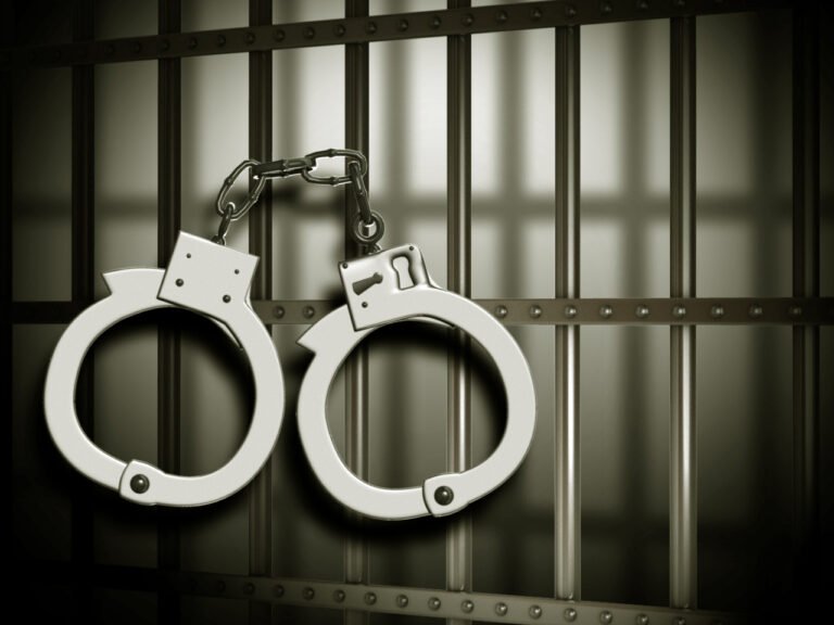 Police Arrest Two Drug Peddlers with Contraband and Cash in Anantnag