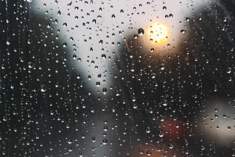 J&K Weather Forecast: Expect Widespread Light to Moderate Rain in the Next 24 Hours, Says Meteorological Department